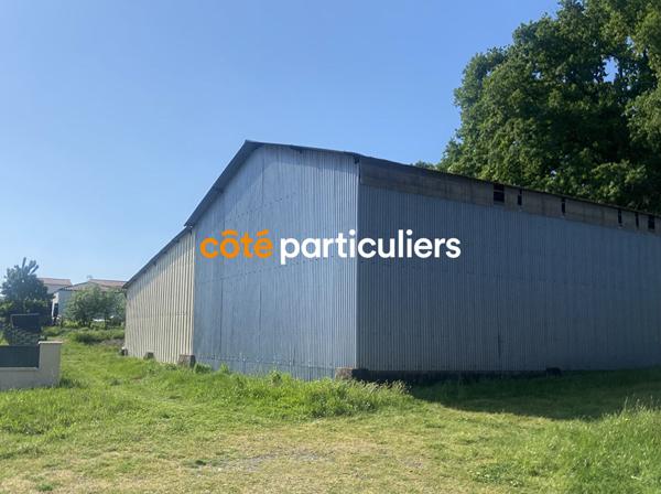 Vente Terrain1000 m² - LA ROMAGNE (49740)