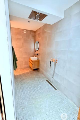 Chanas (38150) Maison contemporaine d'exception