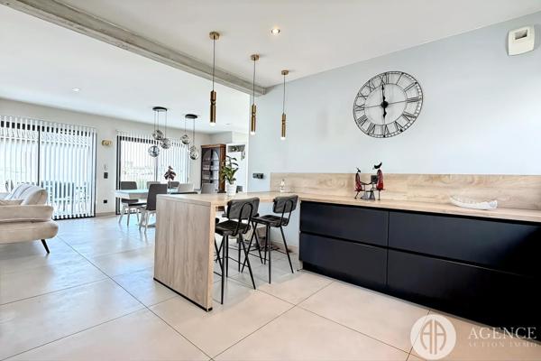 Chanas (38150) Maison contemporaine d'exception