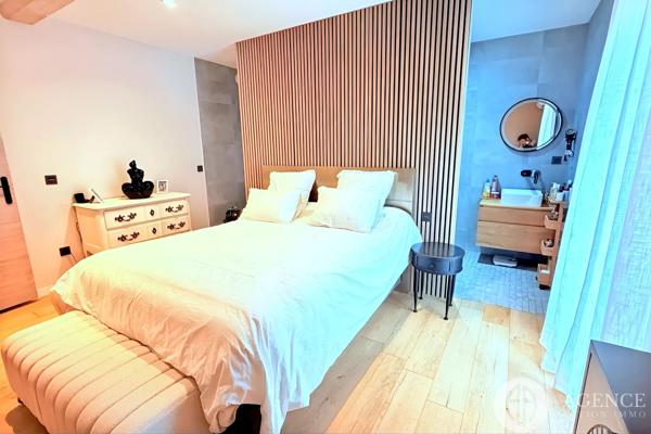 Chanas (38150) Maison contemporaine d'exception