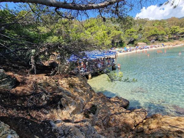 Bienvenue dans votre nouveau chez-vous de rêve à Bormes-les-Mimosas!