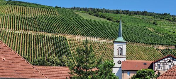 Maison bourgeoise 277m2 sur 12,5 ares