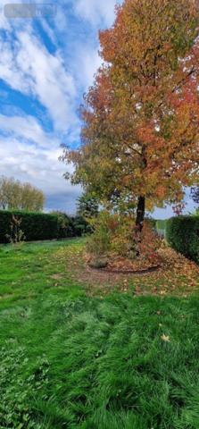 Maison à vendre à Louhans en Saône-et-Loire (71500), ref : LO-BE