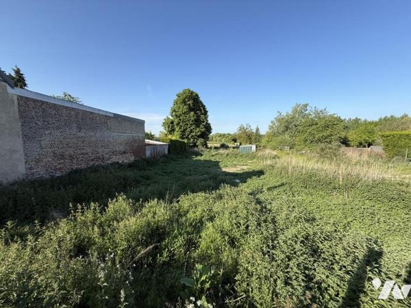 Nouveauté à Bonnay