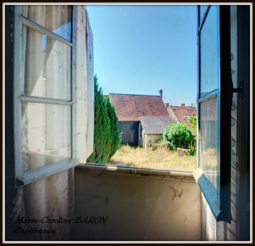 Ensemble de 2 maisons PALLUAU SUR INDRE (36)