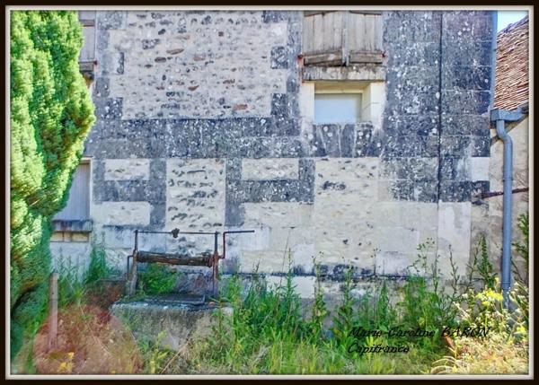 Ensemble de 2 maisons PALLUAU SUR INDRE (36)