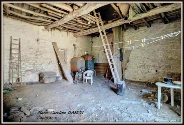 Ensemble de 2 maisons PALLUAU SUR INDRE (36)