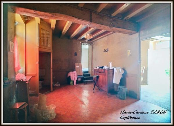 Ensemble de 2 maisons PALLUAU SUR INDRE (36)