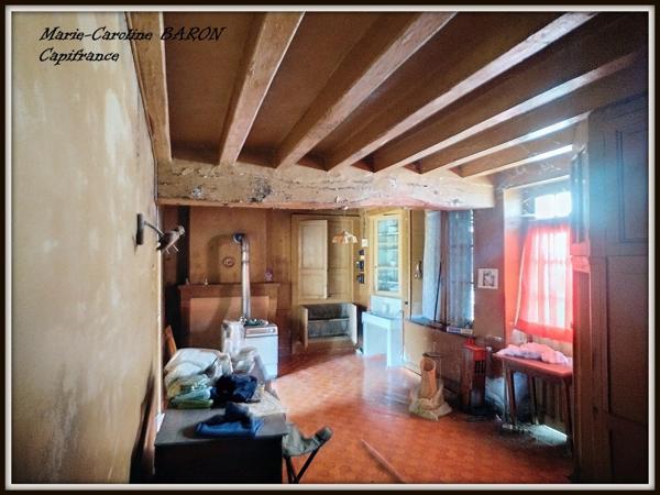 Ensemble de 2 maisons PALLUAU SUR INDRE (36)