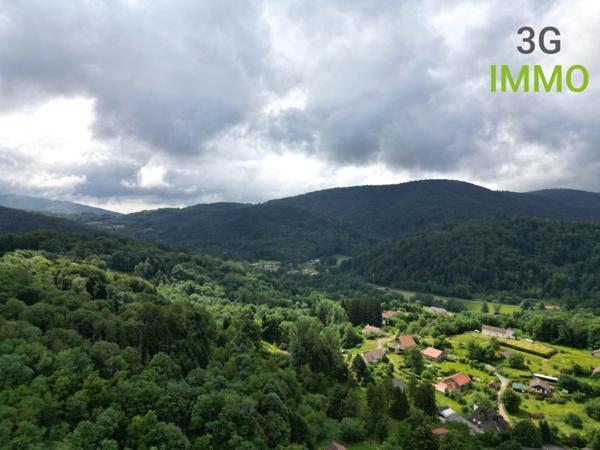 Vente / Ensemble de 2 maisons