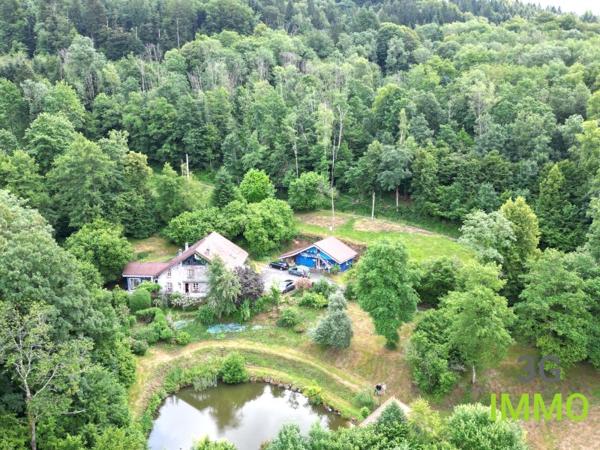 Vente / Ensemble de 2 maisons