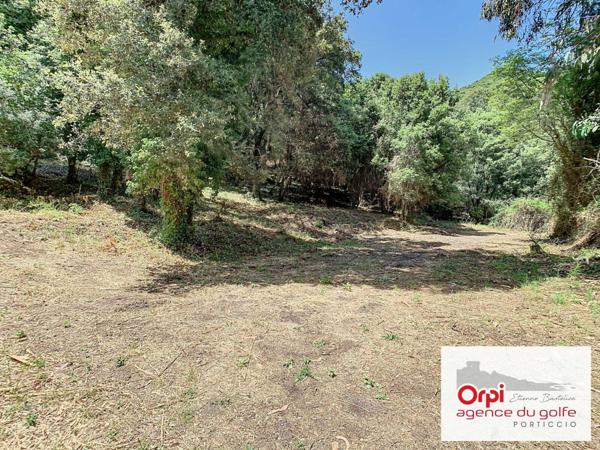 Terrain à vendre    Ocana