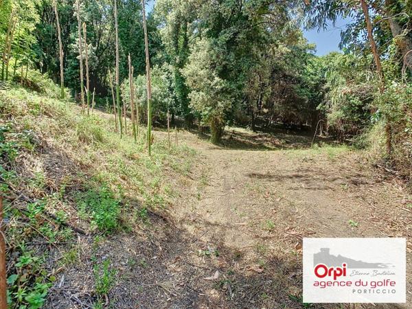 Terrain à vendre    Ocana