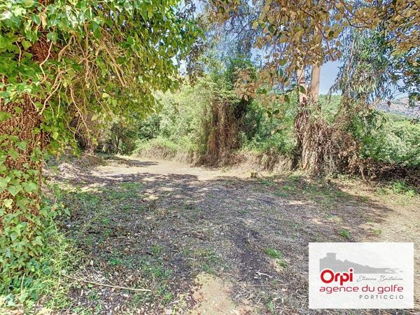 Terrain à vendre    Ocana