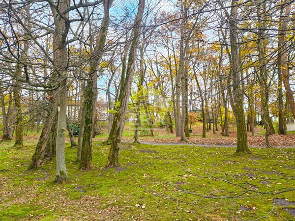 Appartement Herblay Sur Seine 4 pièce(s) 79 m2