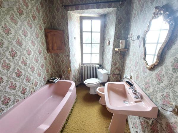 Maison à vendre à Cossé-le-Vivien en Mayenne (53230), ref : 53032-1067