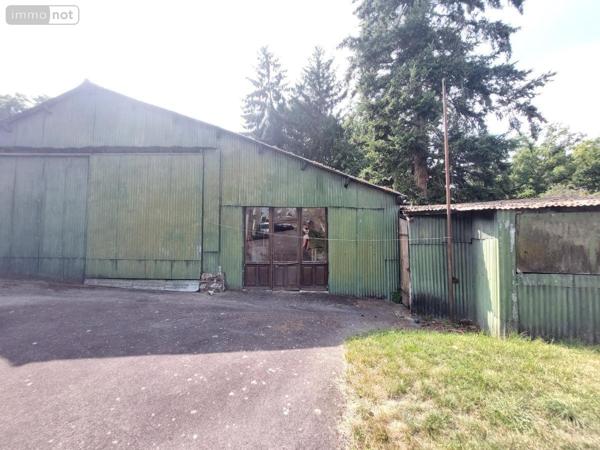 Maison à vendre à Cossé-le-Vivien en Mayenne (53230), ref : 53032-1067