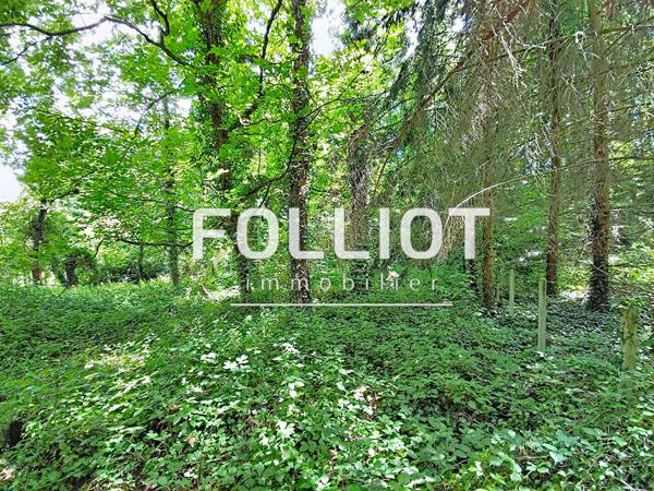 Terrain de loisirs Goupillieres 670 m2