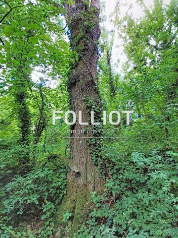 Terrain de loisirs Goupillieres 670 m2