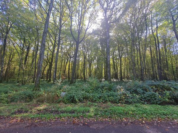 Calme/Domaine boisé/2h Paris/Terrain à bâtir
