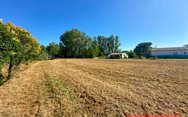 Terrain à vendre    Gaillac