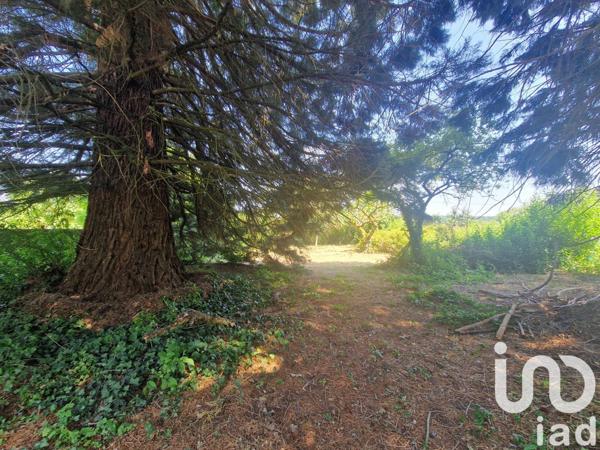 Maison 5 pièces de 112 m² à Ferrières-en-Gâtinais (45210)