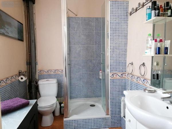 Maison à vendre à Descartes dans l'Indre-et-Loire (37160), ref : 37082-244