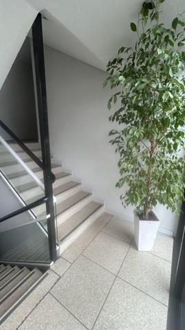 Vente / Appartement T1