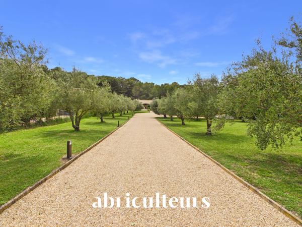 Prestigieuse maison T8 de 233m² sur un terrain de 6700m² avec piscine à Rognes 13840