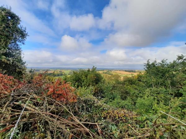 Ruines d'un château du 13ème siècle au cœur d'une bastide