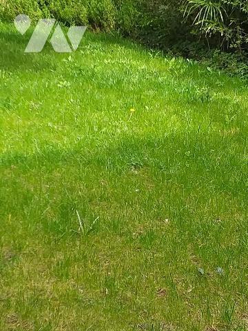 Un terrain de 1473m² avec dépendance