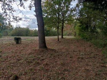 Terrain de loisirs - Bois - Etang à vendre à Glisy dans la Somme (80440), ref : 80121-2778