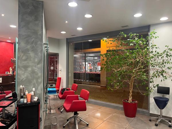 Dpt Savoie (73), à vendre AIX LES BAINS Local commercial 65 m²