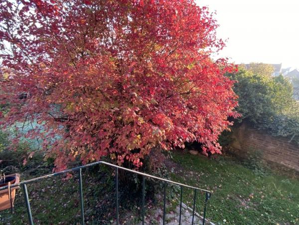 Location Maison 5 pièces Orry-la-Ville (60560) - PROCHE GARE
