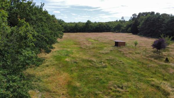 Terrain Villefranche Sur Cher 9000 m2