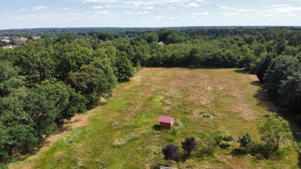Terrain Villefranche Sur Cher 9000 m2