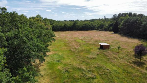 Terrain Villefranche Sur Cher 9000 m2