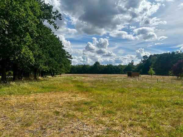 Terrain Villefranche Sur Cher 9000 m2
