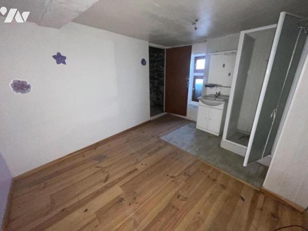 IMMEUBLE / MURS ANCIEN COMMERCE A SAINT CHELY D'APCHER