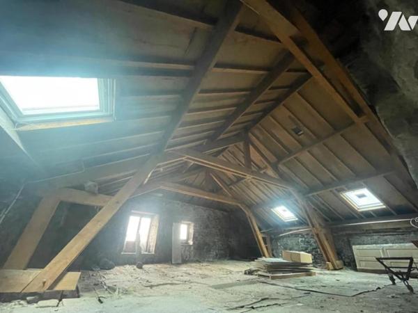 IMMEUBLE / MURS ANCIEN COMMERCE A SAINT CHELY D'APCHER