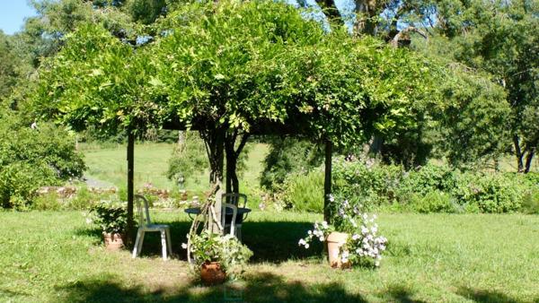 Ancien Presbytère en pierre, charme et authenticité