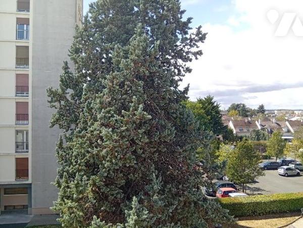 Appartement à vendre à La Chapelle-Saint-Mesmin, Loiret (45)

Appartement T4 au 3ème étage, s...