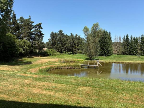 Craponne-sur-Arzon (43500) Très belle maison de 195 m² 5 chambres 3 garages sur 9700m² terrain