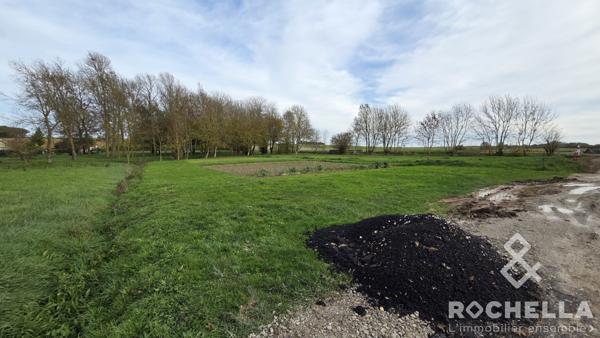 Corps de ferme Charentais avec grandes dépendances