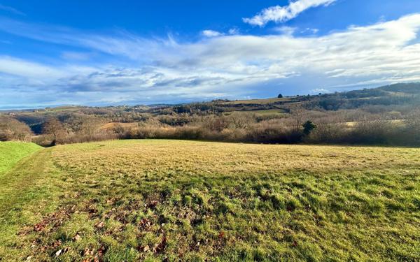 Terrain à vendre    Saint-Avit