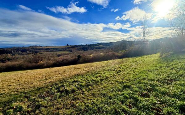 Terrain à vendre    Saint-Avit