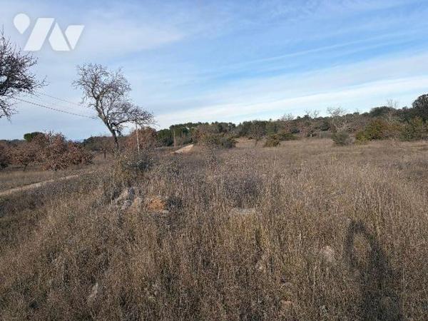 A vendre - Ginasservis (83) - VAR: Plusieurs parcelles de terres attenantes. Le tout de forme r...