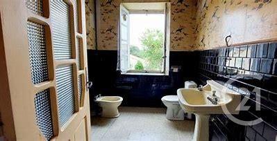 Maison à vendre  13 pièces - 275 m2 AIGUES VIVES - 09