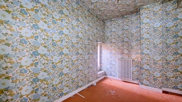 A vendre deux Maisons communicantes à rénover à Lavardac