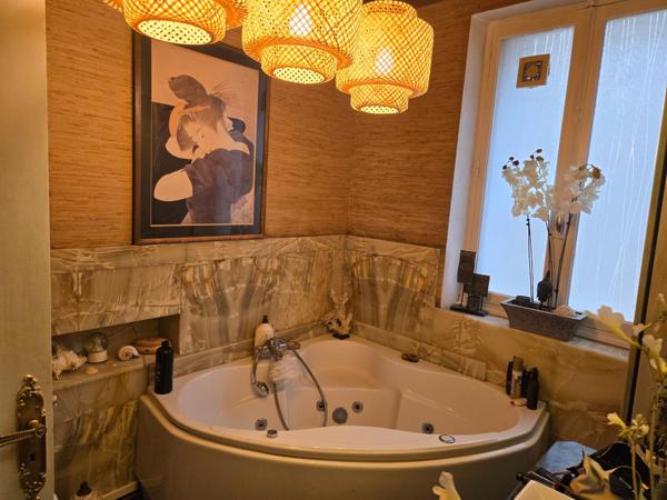 Placé dans un des plus beau quartier de LOUHANS ,magnifique appartement rénové avec charme et authenticité coup de coeur garantie.